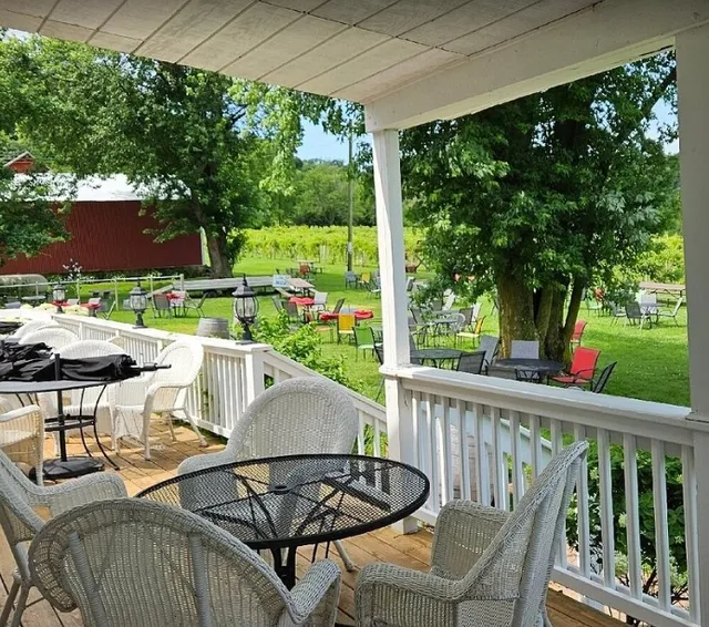 Galena Cellars Vineyard: Leisurely Moments Among the Vines!