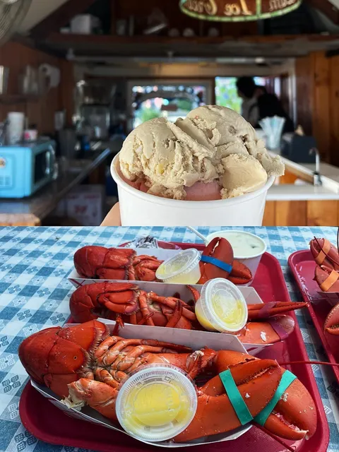 Boston Day Trips | Lobster for $50/3 🦞