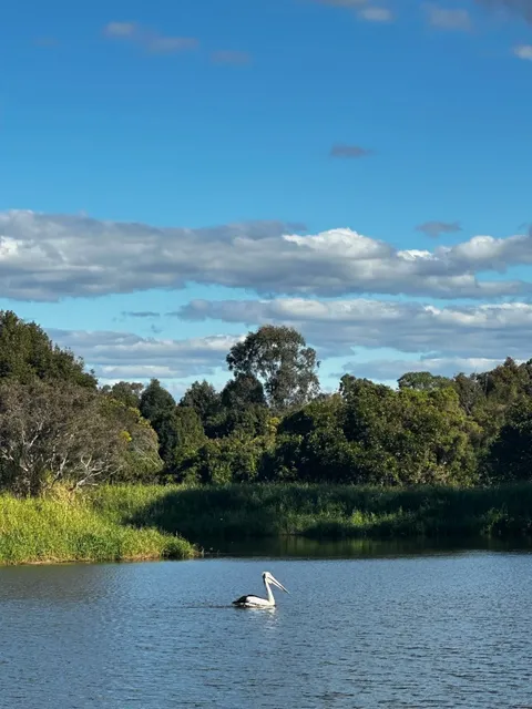 BNE Eastern Suburbs Park | Go Chase Pelicans​