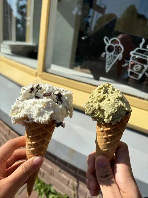 🇳🇱 Leiden Ice Cream Crawl: 7 Parlors Ranked! 🍦✨