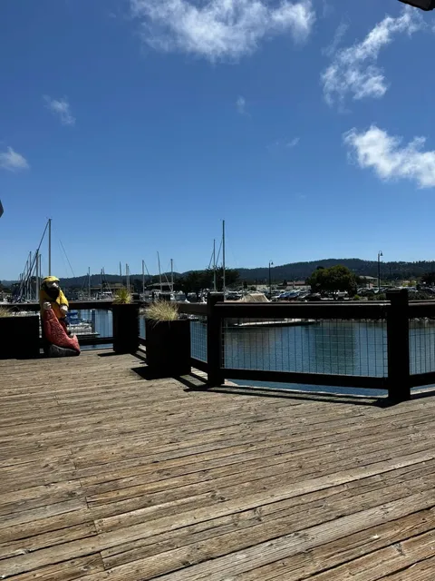 🇺🇸 Locals' Favorite Italian Seafood Restaurant in Monterey