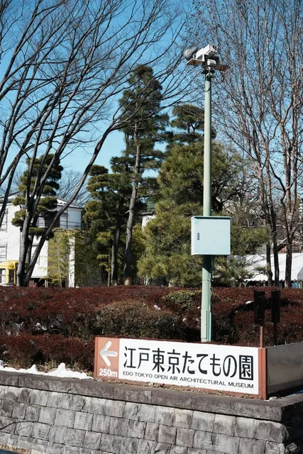 Exploring Parks in Tokyo 🌳