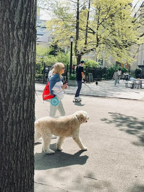 New York Outdoors | 20 Minutes in the Park Be Like 🌲📸
