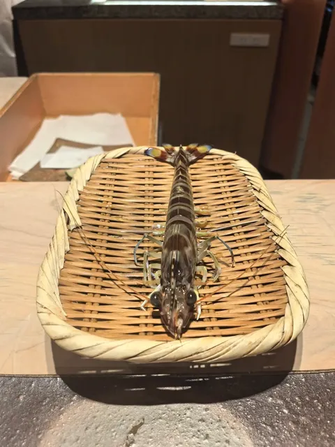 Tokyo Kanesaka Scored a Spot! (3)🌟