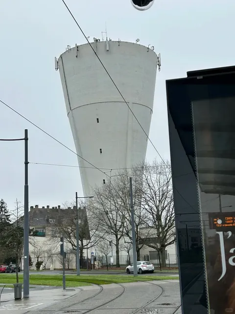 🇫🇷 Tours: The "Garden of France" 🌸🏰