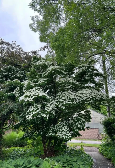 🌿 Rockefeller Park Greenhouse & Cultural Gardens