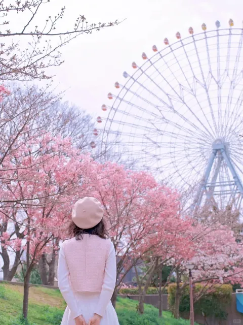 Osaka Tenmabashi 🌉