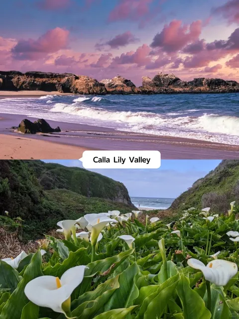 Carmel-by-the-Sea Unlocked: The Ultimate Guide After Countless Visits