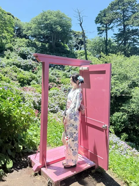 Izu( ၴႅၴ˖°🪻 Hikawa Park Hydrangea Photography Guide