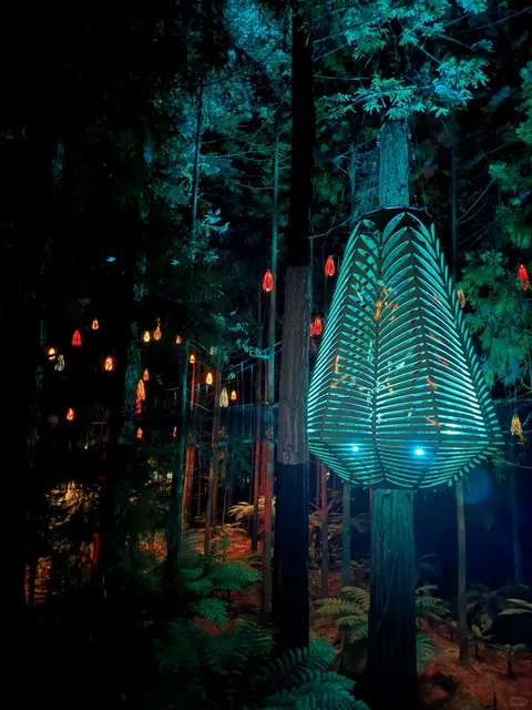 Rotorua on a Budget: FREE Must-Do Activities! 🌿💰