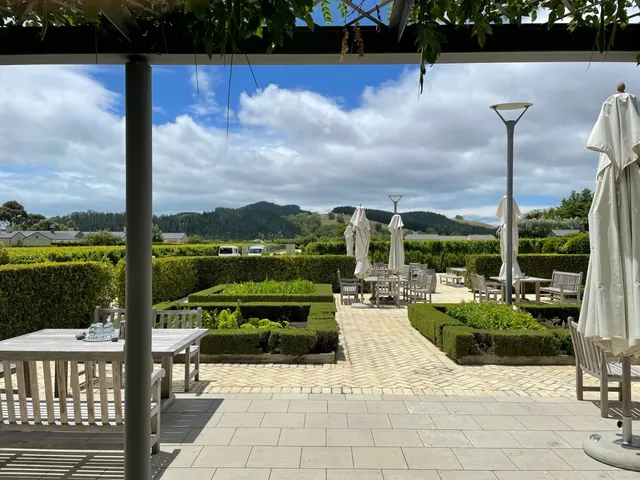 🚗 Napier Road Trip Diary | Wine, Waves & Vintage Wheels