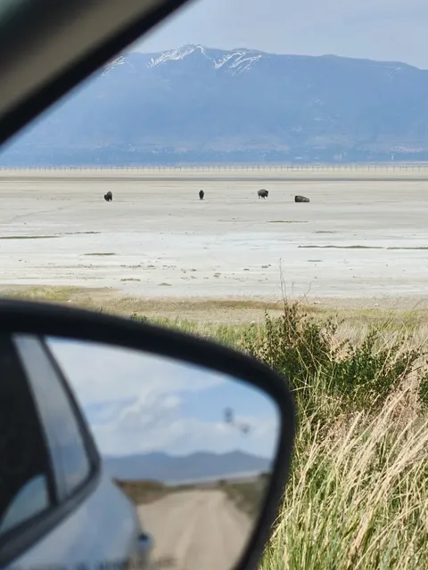 📍Why Does No One Talk About This Gorgeous Park in Salt Lake City? 🌾
