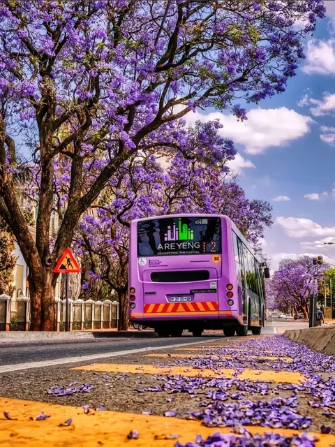 Underrated South Africa 🇿🇦 is simply stunning