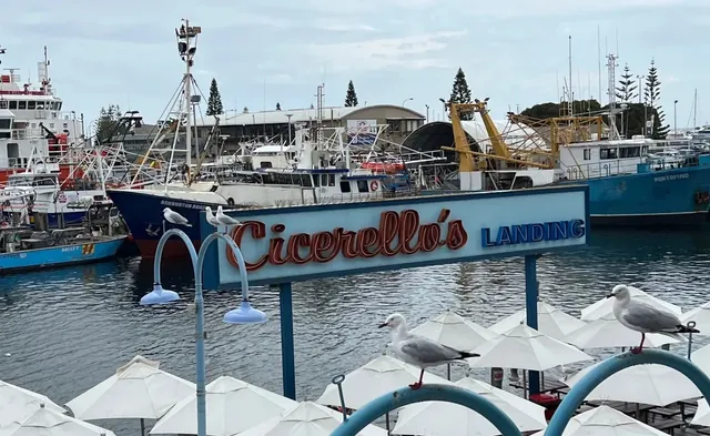 Half-Day Tour Guide to Fremantle, Western Australia 🏝️