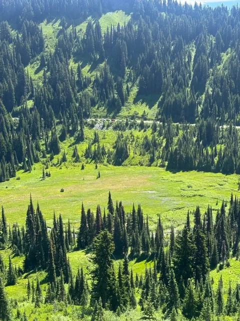 Mount Rainier Day Trip