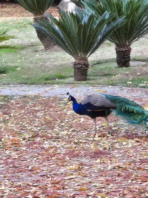 A Hidden Gem for Fall Foliage 🍂✨