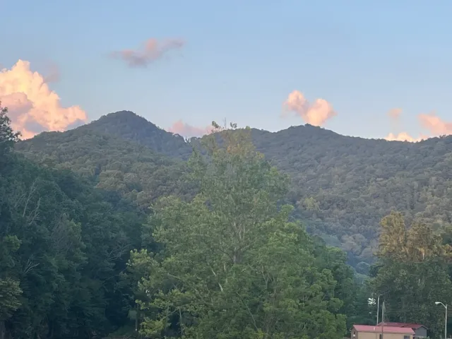 Charming & The Best Views! 🌅🦆🏞️