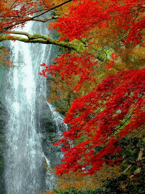 Minoh Waterfall 🌊