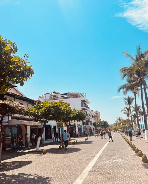 Puerto Vallarta: Mexico’s Pacific Paradise 🌊🌴