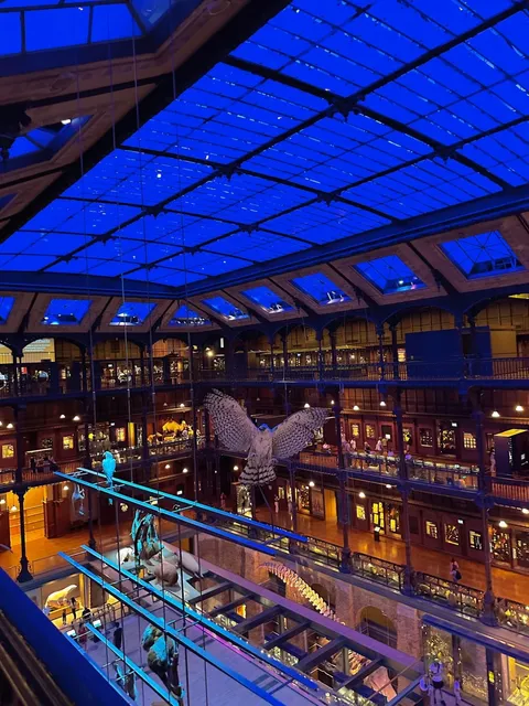 Museum | Paris Gallery of Evolution