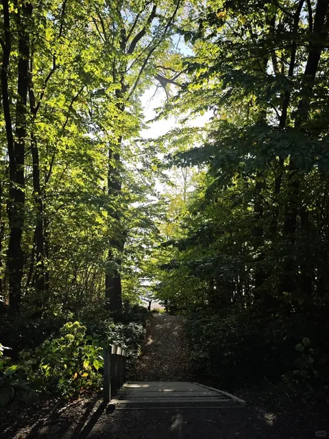 🚁 The Grand Traverse: Lake Tekapo → Tasman Glacier 
