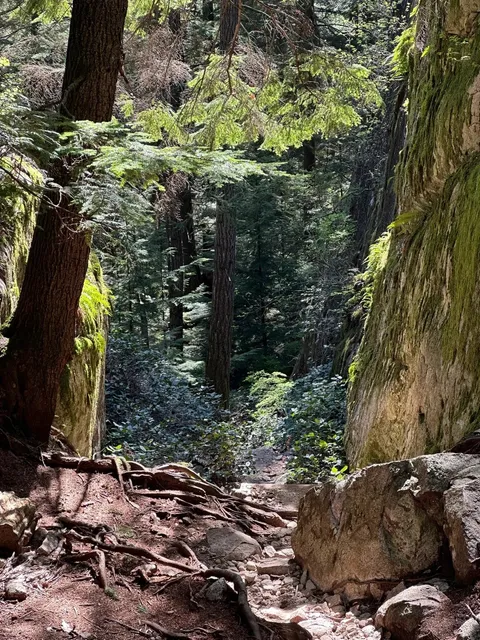 🇨🇦 Vancouver Hiking - Murrin Park Loop Trail  