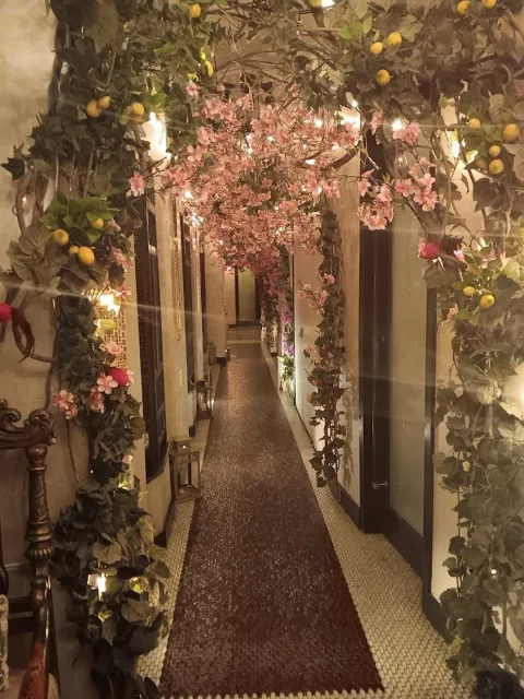 🌟 An Unforgettable Experience! 🌙✨