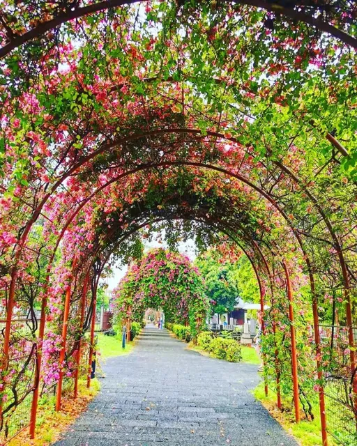 Japanese Cemetery Park