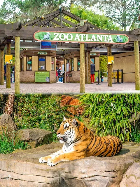 🌟 Atlanta Bucket List: 10 Must-Visit Spots!