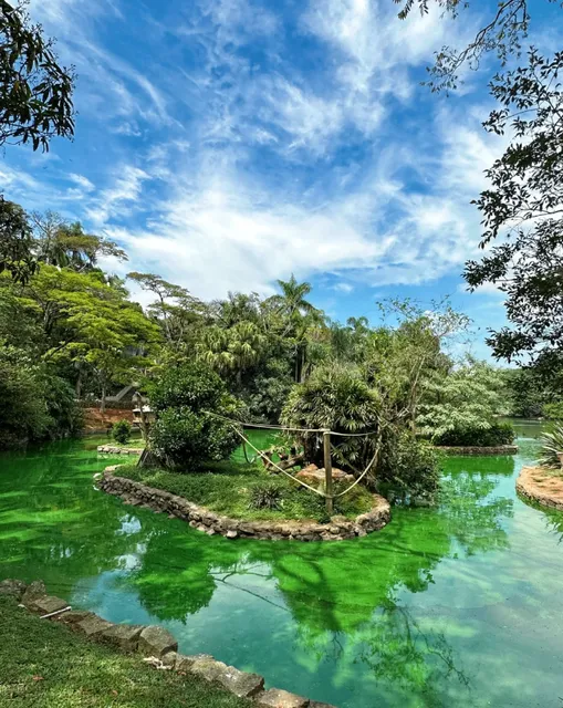 【Brazil】An Amazon Zoo as Beautiful as a Disney Movie