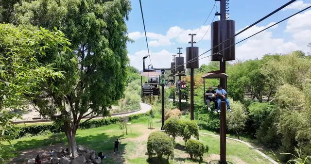  Guadalajara Zoo + Omakase Adventure