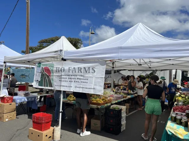 The Great Market – A Vibrant Local Experience! 🛍️