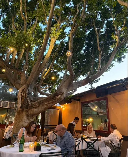 Le Vallauris Restaurant | Palm Springs 🇫🇷  