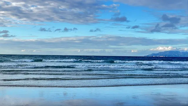 Step Into the Deep Blue Sea — Hiking Near Auckland 🇳🇿🌊  