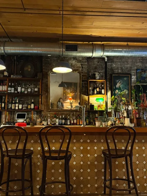 NOLA Cafés Perfect for Working ☕️💻 | ⚜️ New Orleans Travel