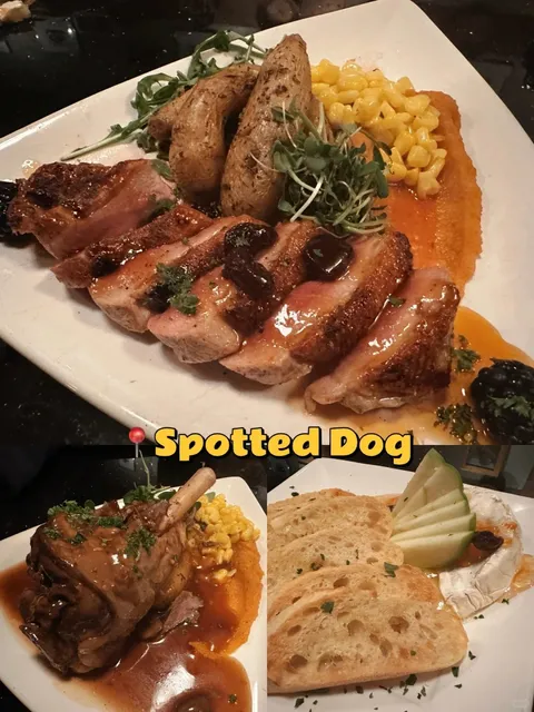 Utah Zion National Park Trip Wrap-Up! 