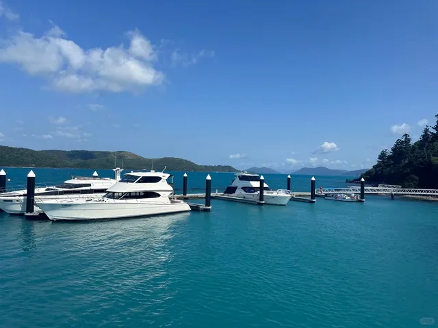Hamilton Island  Ultra-Short Half-Day Trip | Lazy Relaxation Edition  