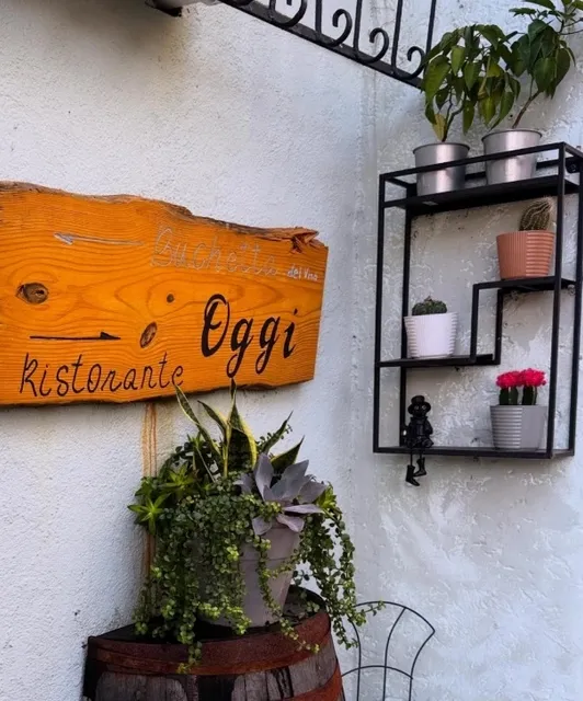 Tampa | This is a "Photo-Focused" Bistro 🍸