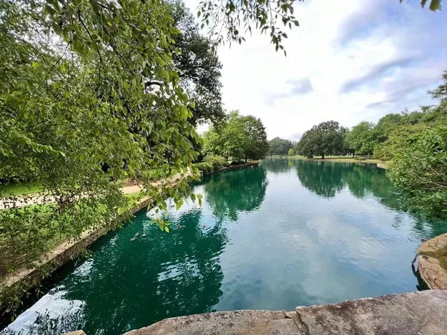 Freedom Park in Charlotte🌳✨