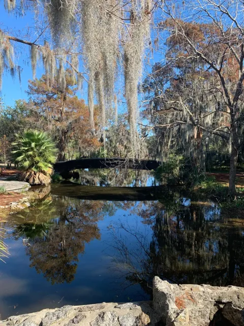 City Park: A Must-Visit Oasis! 🌳💫