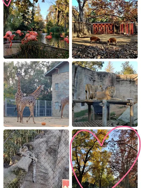 🇺🇸 Sacramento, CA – 2-Day Trip from the Bay Area 🚗💨