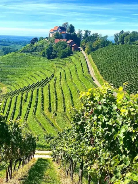 In Love ❤️ with Germany's Black Forest Winery - Schloss Staufenberg