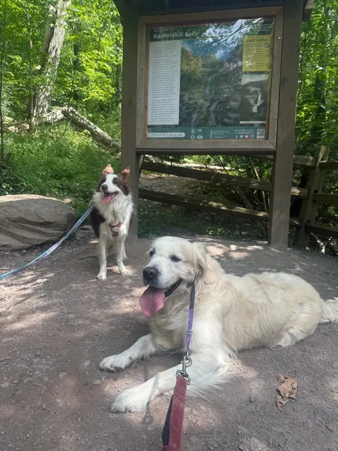 Weekend Escape from NYC | Magical Catskills Waterfall Day Trip​​ 🌊🚗