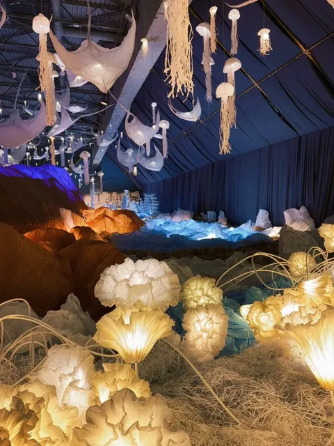 Paris New Exhibition | Dive into a Dreamlike Underwater World 🌊🪼🐠