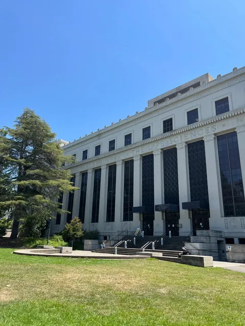 UC Berkeley 🏫 | A Classic Half-Day Tour Route for Visitors