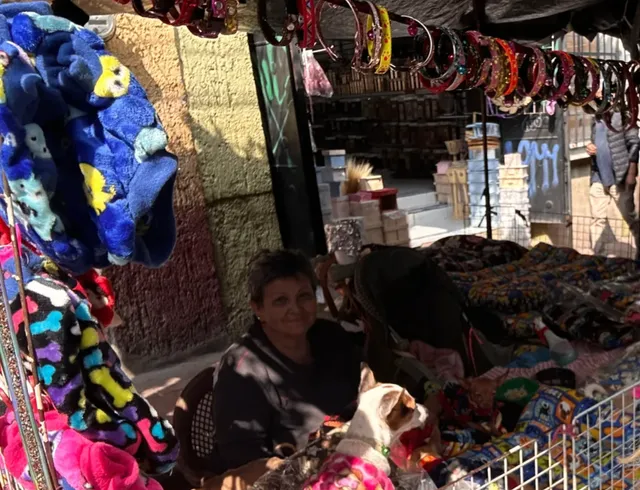 🌮 Guadalajara Deep Dive: Culture, Markets & Local Secrets