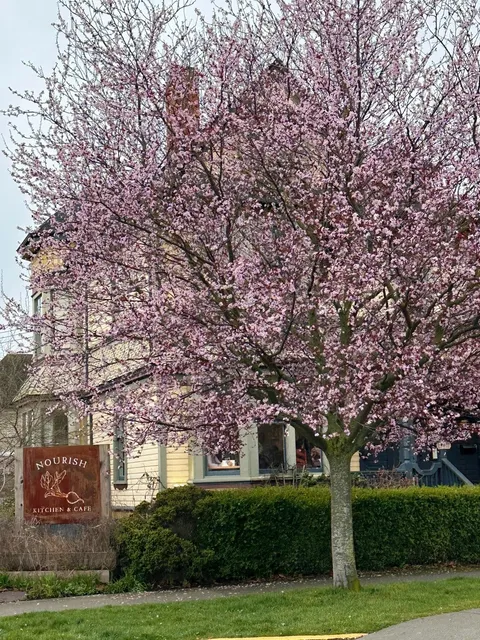 Victoria Food Diary: A Delicious Surprise! 🍽️✨