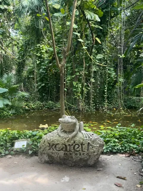 US Spring Break | CMU Student’s Cancún, Mexico Travel Guide 🤩