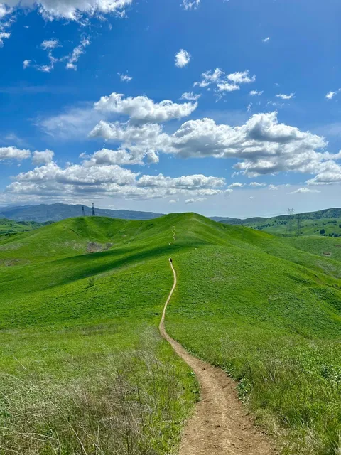 Not Switzerland—It’s Los Angeles!!! 🏔️😍  
