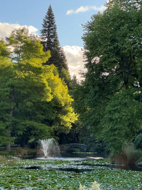 🇳🇿 Queenstown in Summer 🫶🏻 A Fairytale Escape